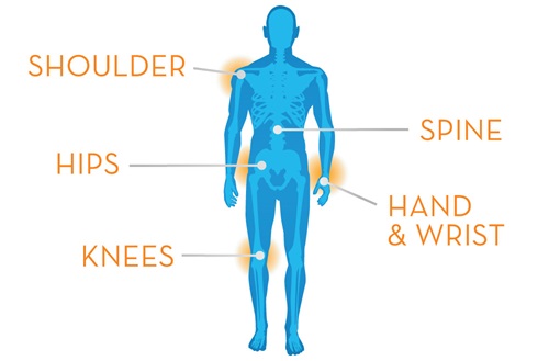 animation of a male body emphasizing the shoulder, spine, hips, knees, and hand wrist